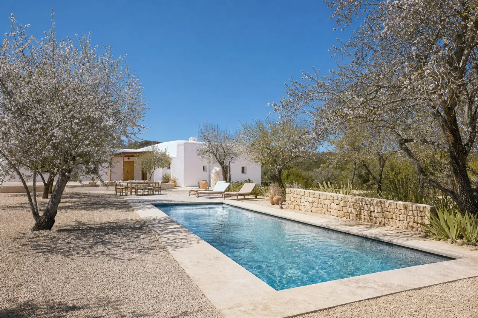 Finca Vela — عکس 1