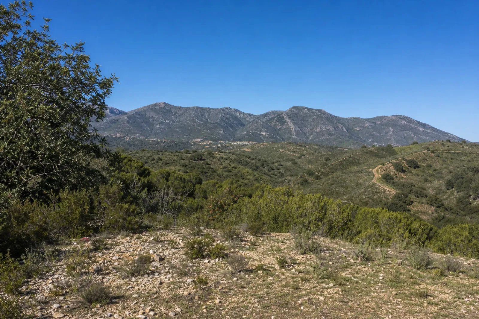 Parcela urbana con vistas panorámicas al mar en Estepona — عکس 1